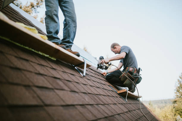 Roof Coating Services in White Pigeon, MI